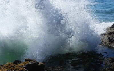 Thoughts From My Journal – Natural Spectacle
