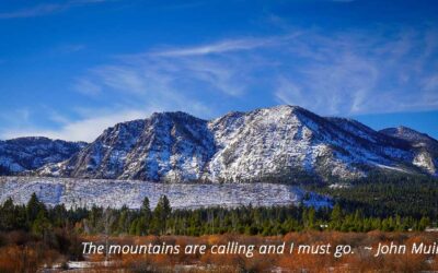Thoughts From My Journal – Discovering John Muir