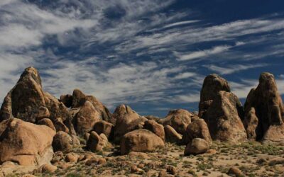 Thoughts From My Journal – Oneness in Nature