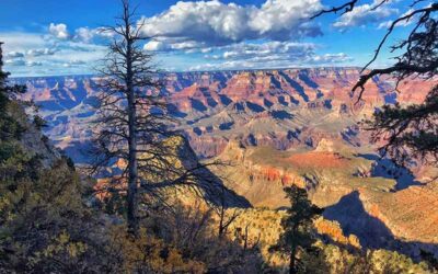 Thoughts From My Journal – A Natural High
