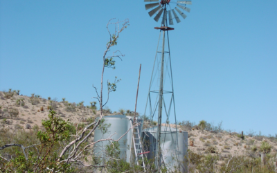 Thoughts From My Journal – Colorado Desert